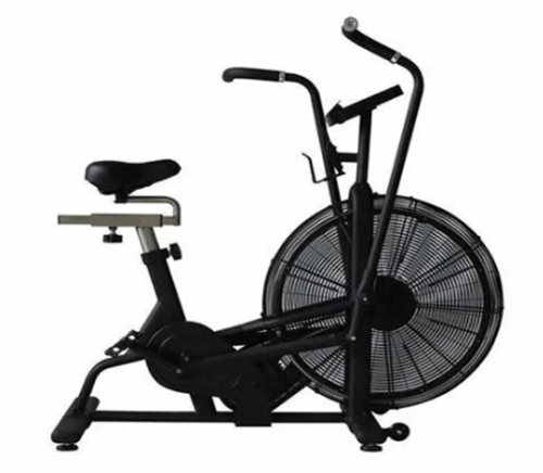 DB110 Air Bike (Techno Fitness Brand)