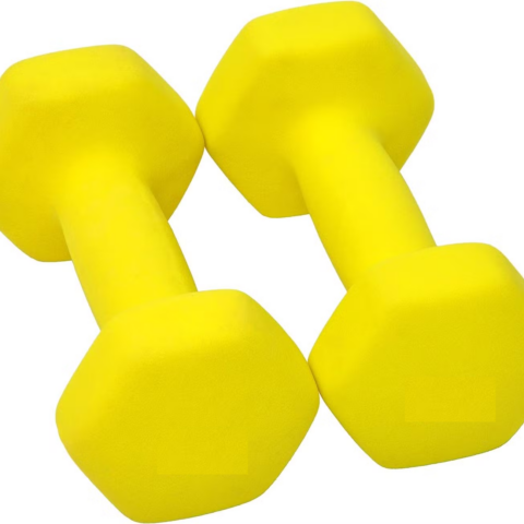 JDB12.25 Vinyl Dipping Dumbbell (Pair) Yellow Colour 2.5kg