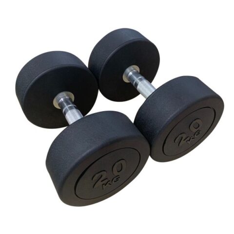 D2250.2.5 PRO ROUND HEAD RUBBER DUMBBELL 2.5KG [pair] (TECHNOFITNESS BRAND)