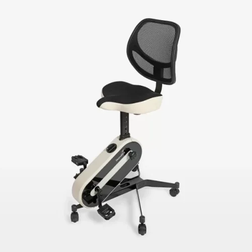 HG5806 Magnetic Bike (Office Bike)