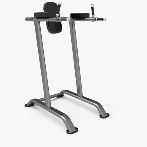 KJ1248 Commercial Vertical Knee Raise (TechnoFitness Brand)
