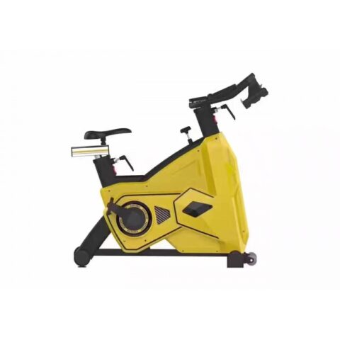 LB-E07 Spinning Bike (Techno Fitness Brand)