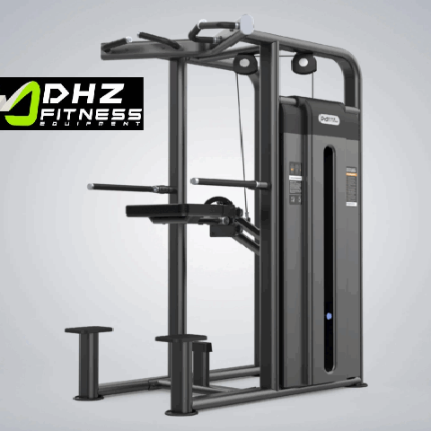 U2009C Dip Assist/Chin Assist/Weight Assisted Chin +Dip (DHZ Brand) (Pin Loaded)