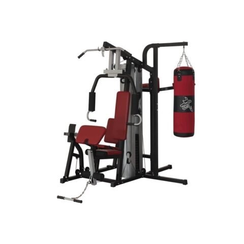 WTH64N 4-Station Multi Gym (TechnoFitness Brand)